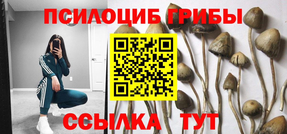 Марихуана  LSD-25  Анжеро-Судженск  ЭКСТАЗИ  КОКАИН  МЕТ  МЕФ  Вход с VPN  ГАШ  A PVP СК   ГАШ  NBOMe  МЕФ  