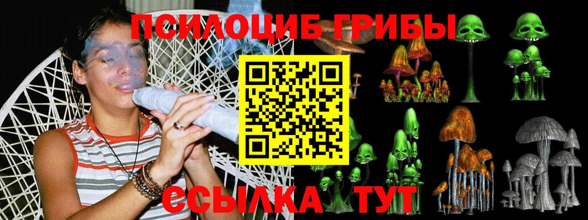 Анжеро-Судженск  Галлюциногенные грибы мицелий  Галлюциногенные грибы Psilocybe  Вход с VPN 