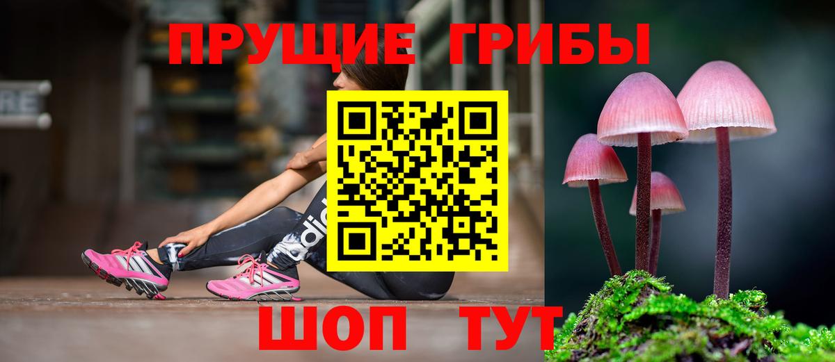 Псилоцибиновые грибы мухоморы Анжеро-Судженск